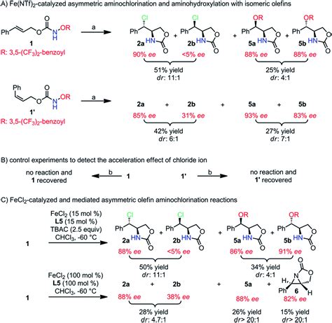 Iron Ii Catalyzed Asymmetric Intramolecular Olefin Aminochlorination