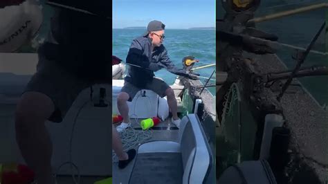 Puget Sound Crabbing Youtube