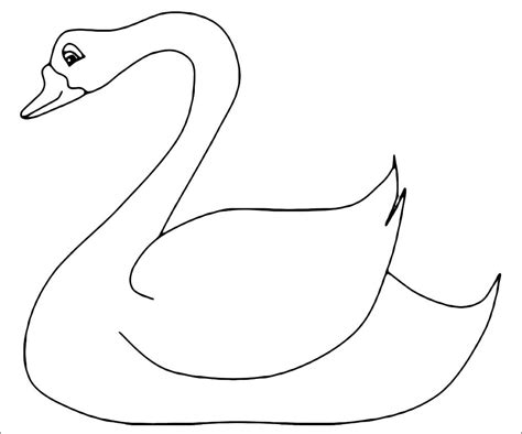 Baby Swan Page Coloring Pages