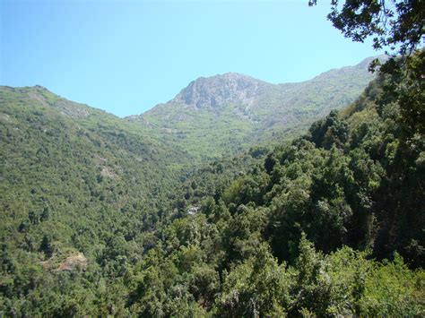 Vicente Ruiz Parque Nacional La Campana Fundacion Roble Alto