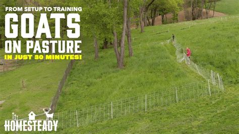 How To Install An Electric Fence For Goats At Angus Heyward Blog