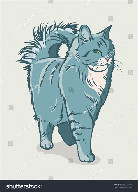 Siberian Cat Vector Illustration Royalty Free Stock Vector