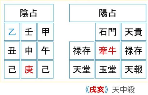 算命学の人体星図の見方｜ビジネス算命学