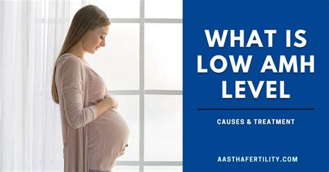 What Is Low Amh Level Causes Symptoms Treatment