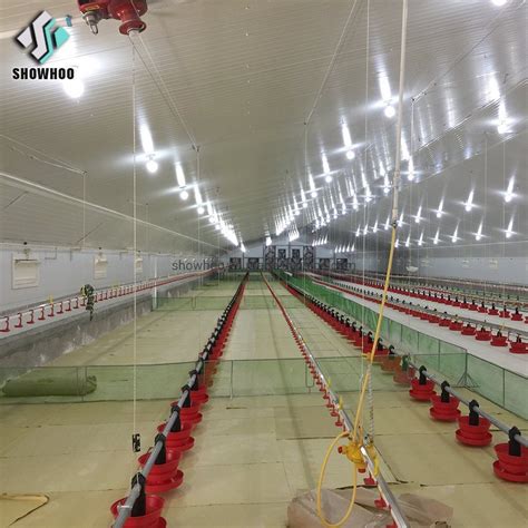 Hot Galvanized Steel Structure Prefabricated Chicken Cage Farming