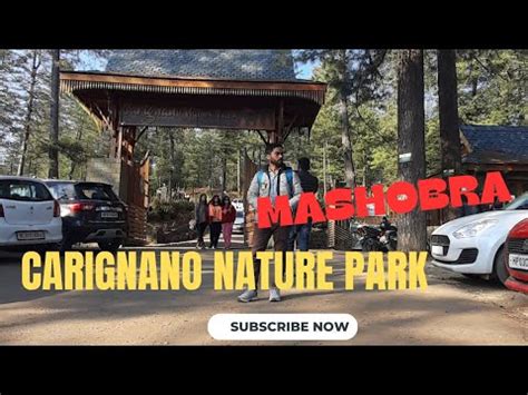 Carignano Nature Park Mashobra Shimla Tourist Place In Shimla