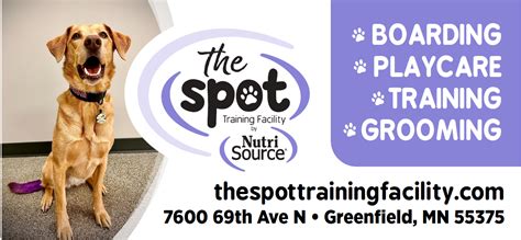 Adoption Event At The Spot Special Guests Retrieve A Golden Of The
