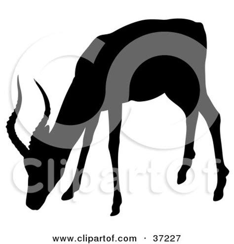 Clipart Illustration of a Black Silhouette Of A Grazing Antelope by ...