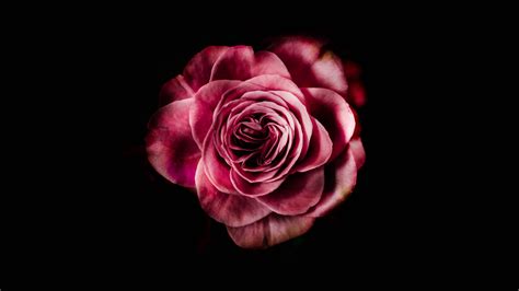 dark background 8