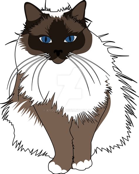 Birman Cat By Kyouzins On Deviantart