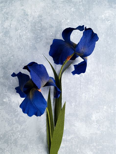 Crepe Paper Iris Flower — Franky And J