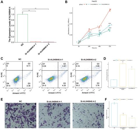 Hcc Cell Lines Hepg2 ATCC Bioz