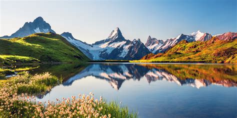 Surprising ideas for more biodiversity in Switzerland | HYVE Crowd