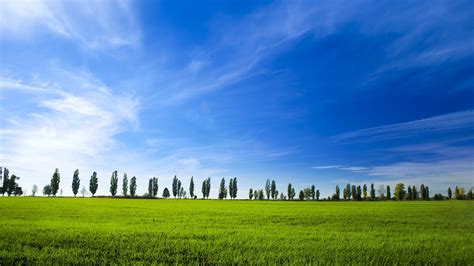 ¿por Qué El Cielo Es Azul