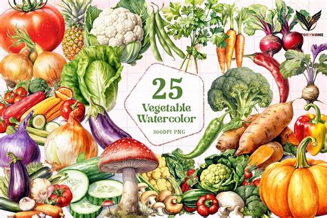 Vegetable Watercolor Clipart Png Graphic By Victoryhome Creative Fabrica