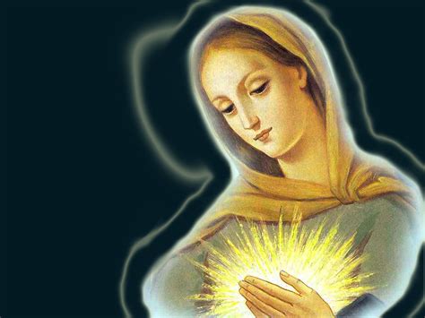 Virgin Mary Wallpaper Free Hd Backgrounds Images Pictures