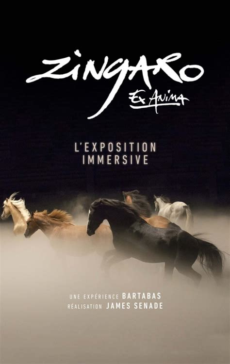 ZINGARO EX ANIMA Parc Des Expositions De La Porte De Versailles