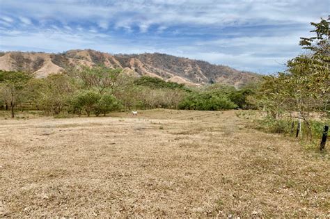 Vistas De Flamingo Lot Large Forested Plot Of Land Minutes From