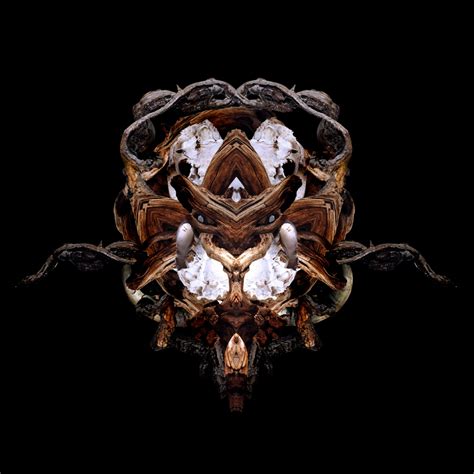 8tracks radio | Rainwell (20 songs) | free and music playlist