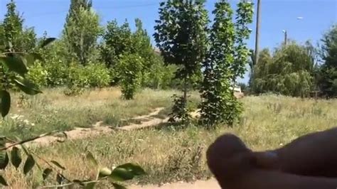 Outdoor Dickflash Porn Videos