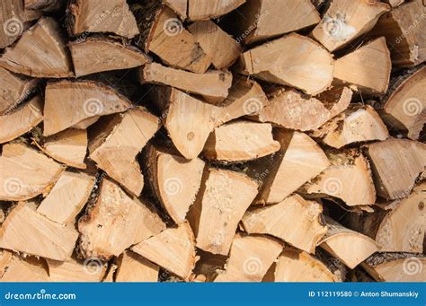 Stack Of Firewood Stock Photo Image Of Woodpile Trees 112119580