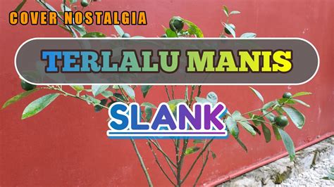 Terlalu Manis Slank Karaoke Cover Akustik Youtube