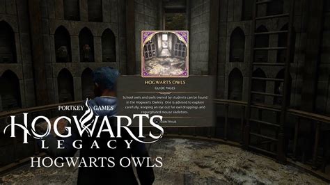 Hogwarts Legacy Hogwarts Owls Field Guide Pages Youtube