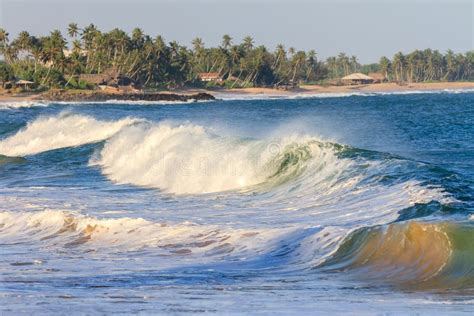 Ocean Wave At The Beach Tangalle Sri Lanka Stock Photo Image Of