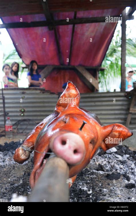 Roasting a whole pig - Lechon baboy in the island of Mindoro ...