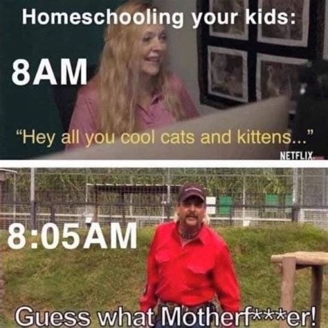 You Will Be Exhausted After These Homeschooling Memes (29 pics ...