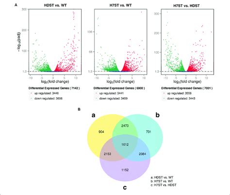 Differentially Expressed Genes Degs In Three Phenotypically Diverse