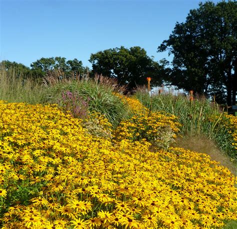 An Autumn Tour Of Sussex Prairie Gardens By Carole Jordorson