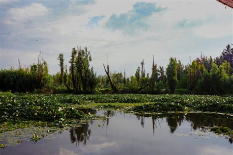 Revive La Leyenda De La Llorona De Noche En Xochimilco Aqu Detalles