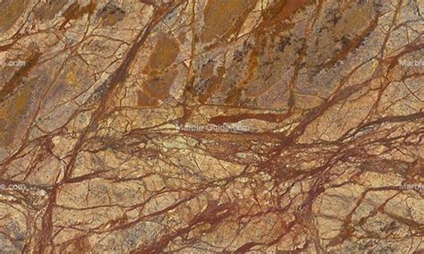 Amazonia Brown Brazilian Marble Marble Guide