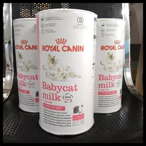 Jual Royal Canin Babycat Milk 300gr 300 gr Susu Baby Cat Anak Kucing ...