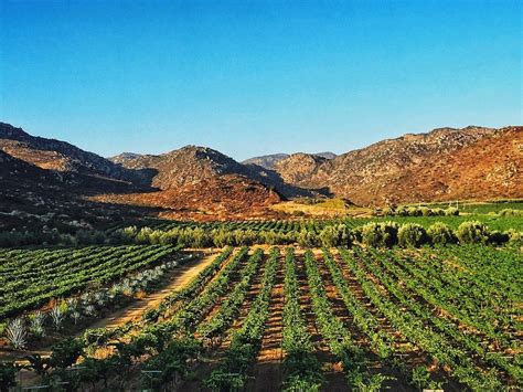 Qu Hacer En Valle De Guadalupe Descubre Experiencias Nicas