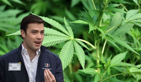 Hijo De Juan Manuel Santos Pide La Legalizaci N Del Cannabis Para Colombia