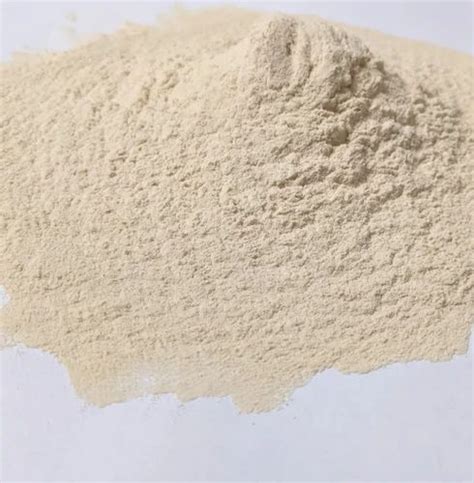 Alginic Acid Powder Packaging Size 25 Kg Packaging Type Bag At