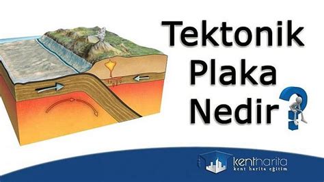 Tektonik plaka İngilizce Tectonic Plates anlamına gelir Yedi büyük