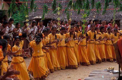 Sri Lanka Harvest Rain Festival At Udappuwa Coastel Village