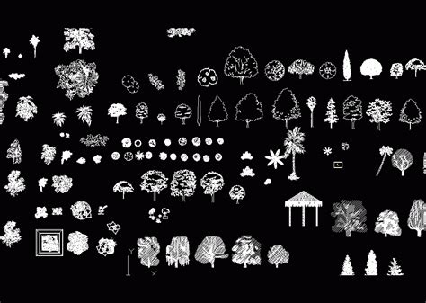 Trees And Shrubs Blocks 2D DWG Elevation For AutoCAD Designs CAD