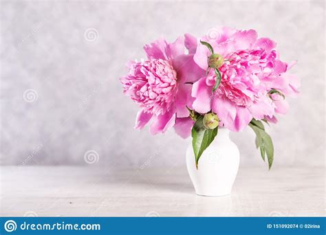 Ramalhete De Peonies Cor De Rosa Foto De Stock Imagem De Beleza