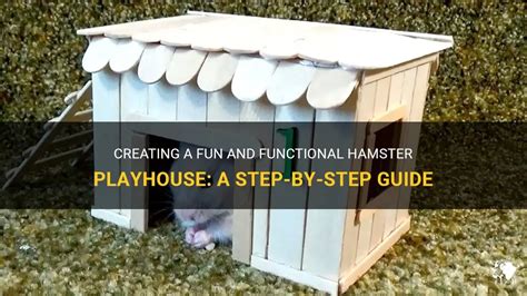 Creating A Fun And Functional Hamster Playhouse A Step By Step Guide