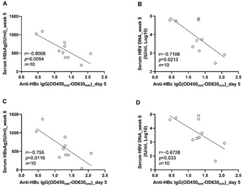 Viruses Free Full Text Anti Hbc Igg Responses Occurring At The