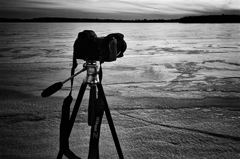 Photography Tips For Beginners