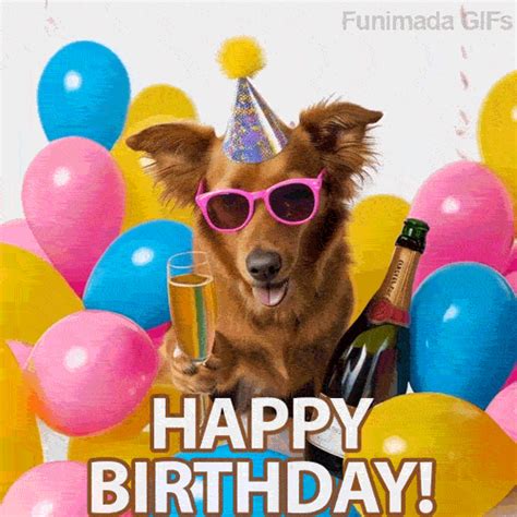funny animated gif happy birthday gif dog infoupdateorg