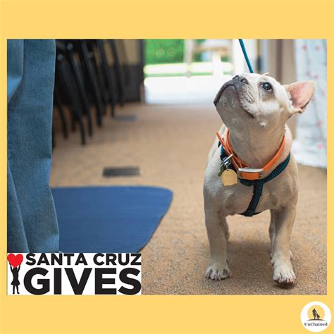 register pajaronian 1