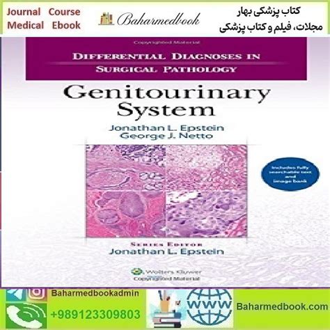 Differential Diagnoses In Surgical Pathology Genitourinary System