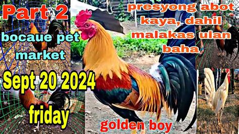 Part 2 Bocaue Pet Market Sept 20 24 Friday Presyong Abot Kaya Dahil