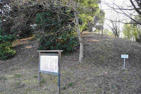 古代出雲紀行（7） 八雲立つ風土記の丘その1（岡田山古墳） インディヒストリーのブログ